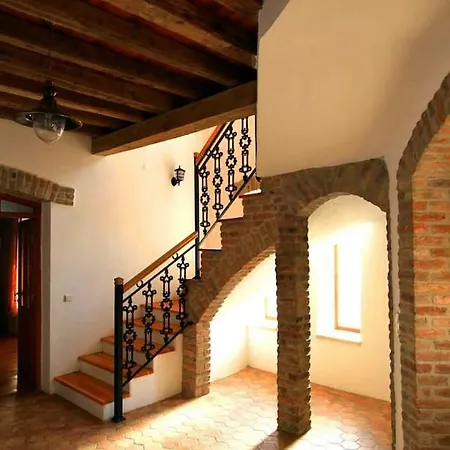 Cottagehause シダ